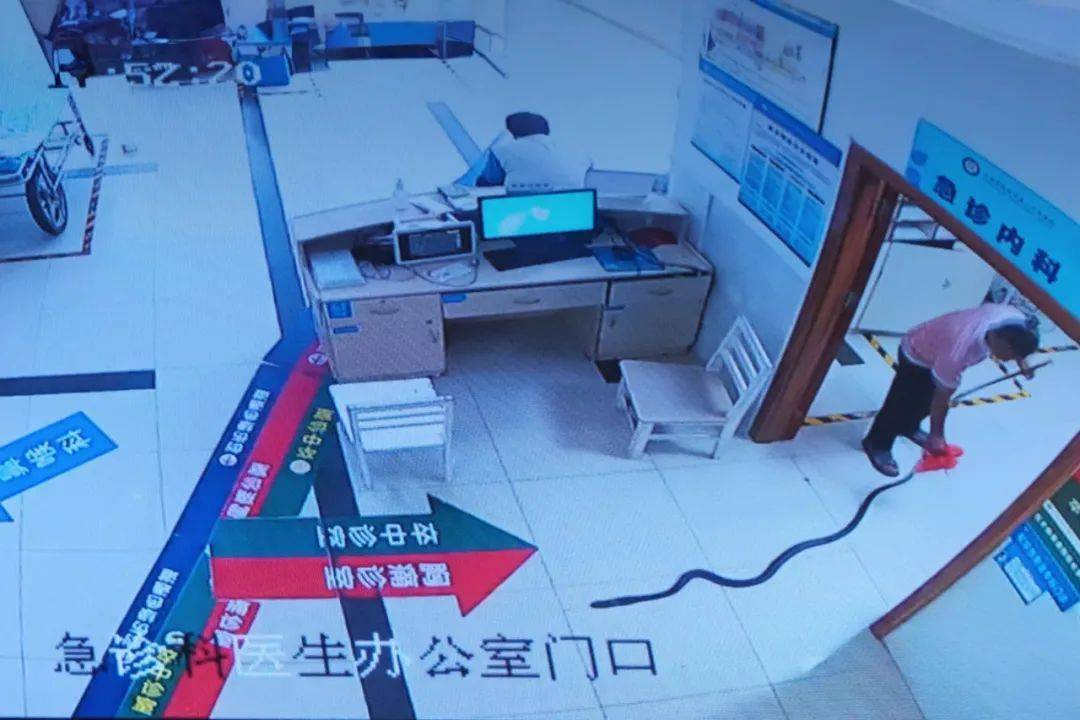 眼镜王蛇咬伤老人,家属拖两米多长的“凶手”冲进医院!“拎蛇就医”可取吗?