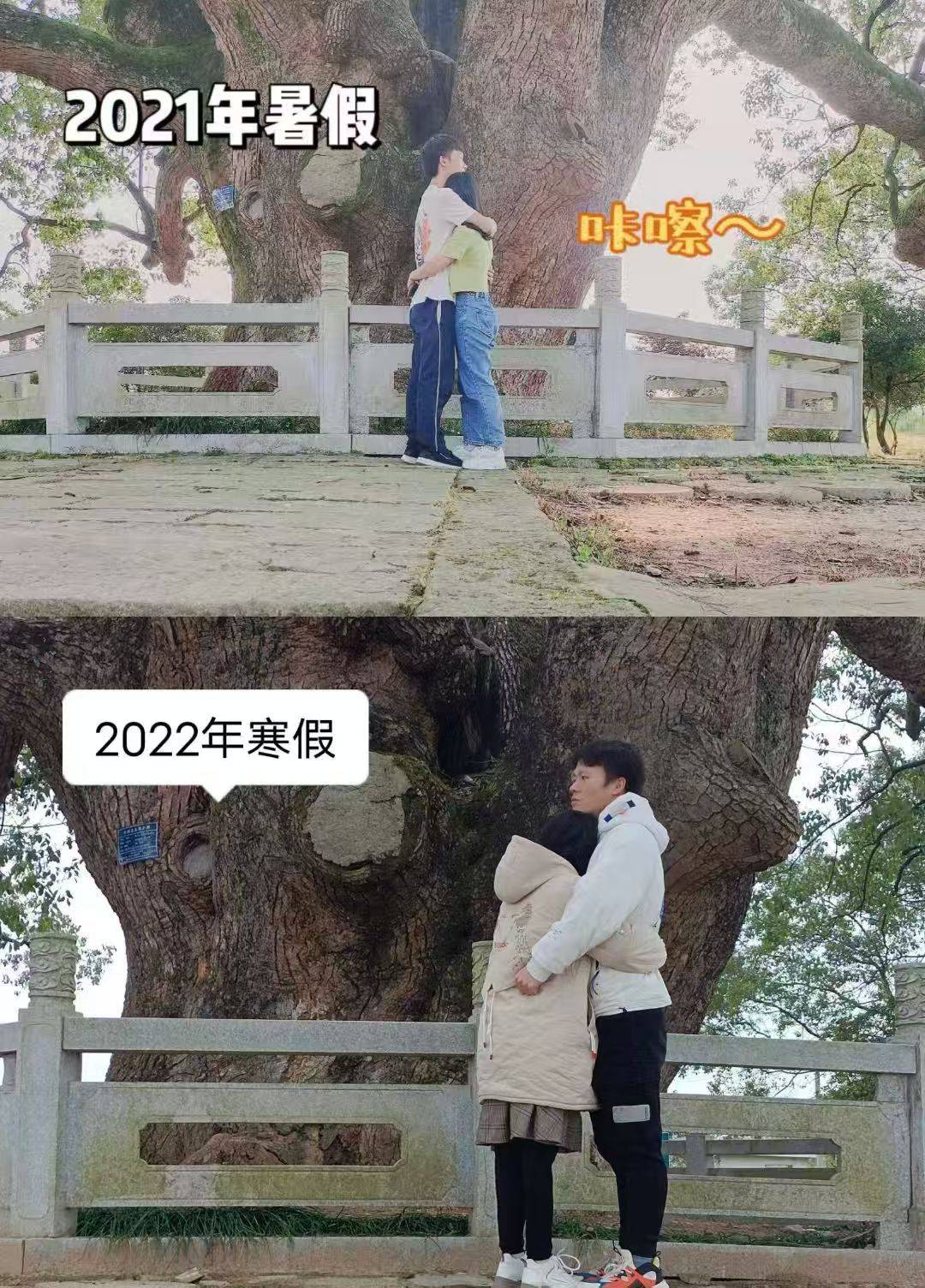 岳阳情侣连续9年在家乡千年古樟树下合影,今年国庆终修正果:希望爱情像古树一样长久