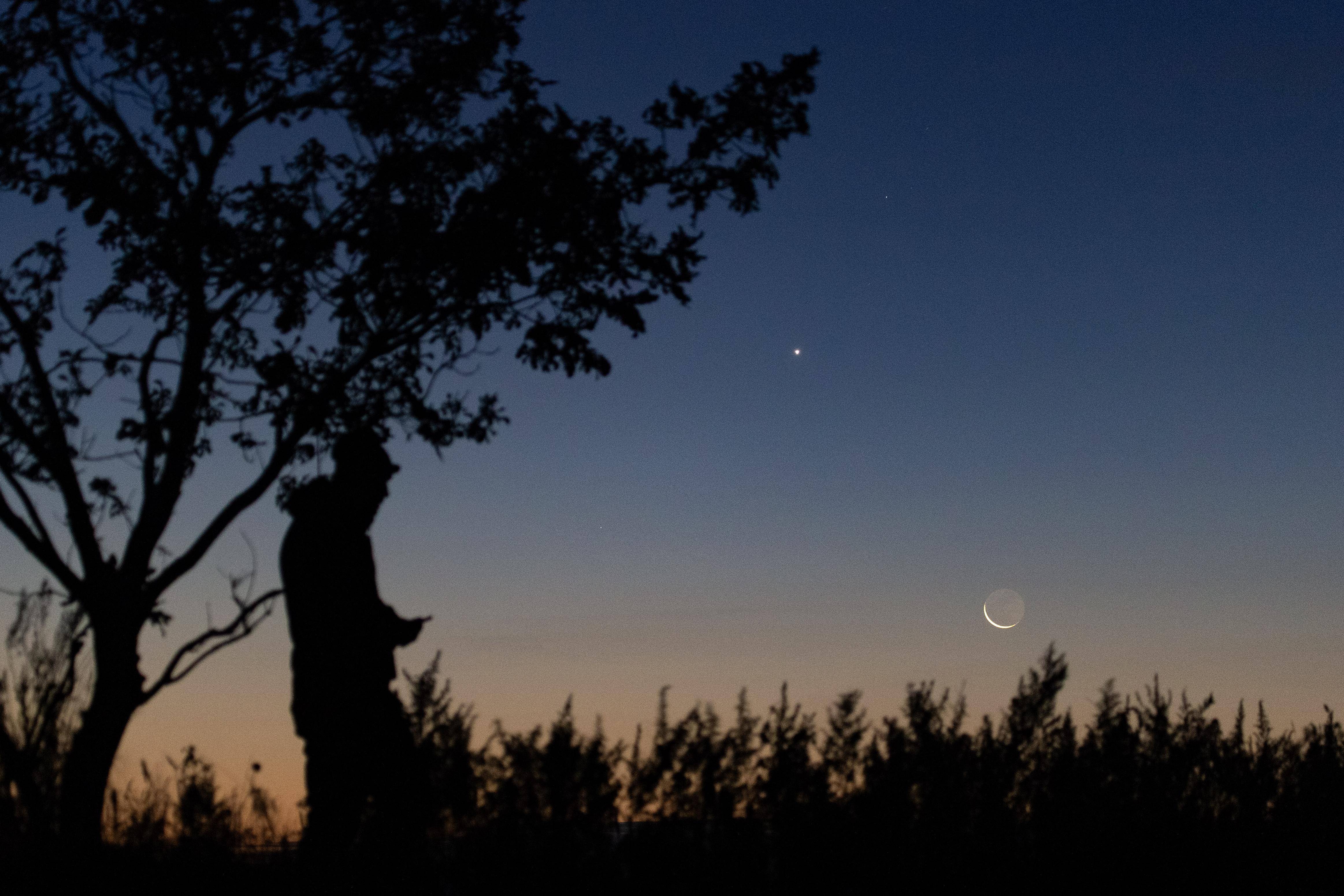 星空相册|启明星伴月现身天宇#