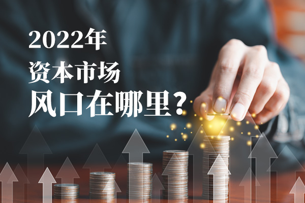 资本市场证券(资本市场证券的最大买家是)